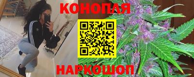 крисы Пыть-Ях