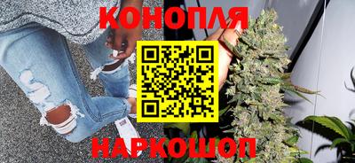 крисы Пыть-Ях