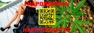 крисы Пыть-Ях
