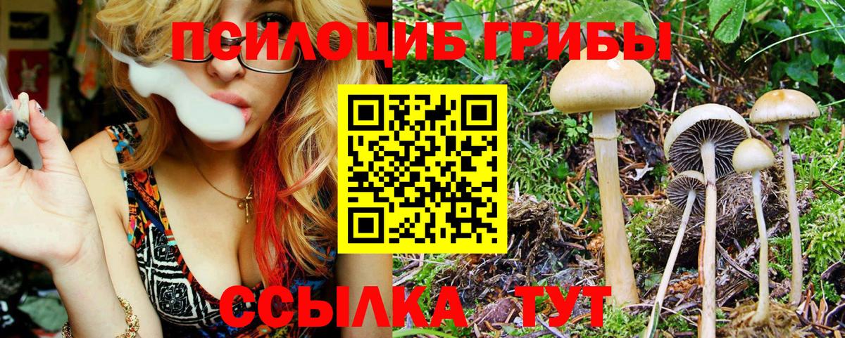 Тара  Галлюциногенные грибы мухоморы  Вход с VPN 